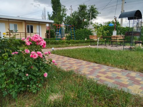 Вид на мангальную зону от роз